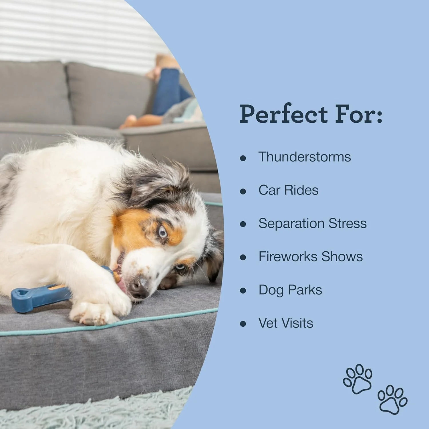 استخوان آرامش بخش روزانه Kradle، لاستیکی 6 اینچی، استخوان پر کردنی برای سگ ها (4 عدد)، تسکین دهنده اضطراب جدایی، رعد و برق، مسافرت با ماشین و استرس با فرمول آرامش بخش BotaniTek، طعم بیکن