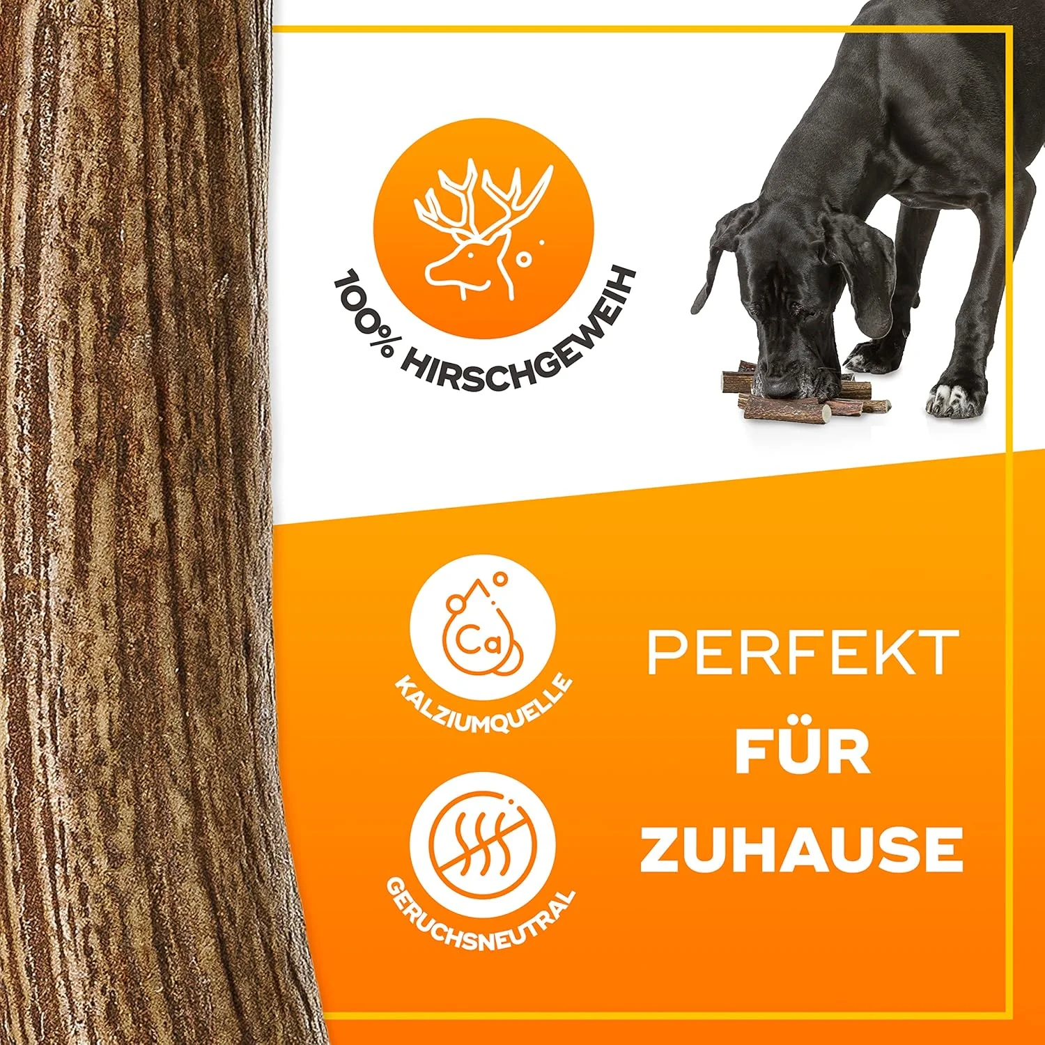 GIGIL با این محصول سگ خود را مانند یک پادشاه پذیرایی کنید، شاخ گوزن طبیعی ممتاز 100%، اسباب بازی جویدنی بادوام برای سگ ها، سایز کوچک GIGIL با این محصول سگ خود را مانند یک پادشاه پذیرایی کنید، شاخ گوزن طبیعی ممتاز 100%، اسباب بازی جویدنی بادوام برای سگ ها، سایز کوچک