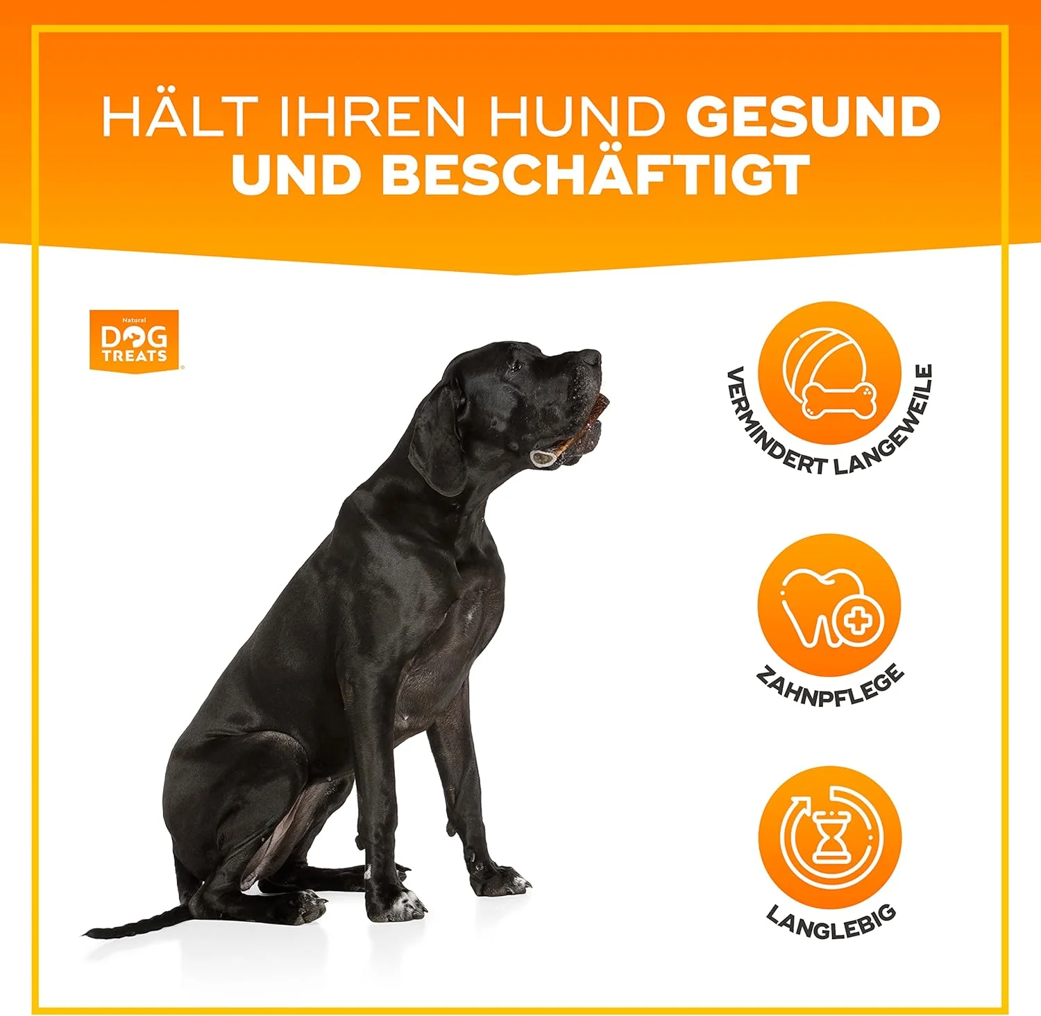 GIGIL با این محصول سگ خود را مانند یک پادشاه پذیرایی کنید، شاخ گوزن طبیعی ممتاز 100%، اسباب بازی جویدنی بادوام برای سگ ها، سایز کوچک GIGIL با این محصول سگ خود را مانند یک پادشاه پذیرایی کنید، شاخ گوزن طبیعی ممتاز 100%، اسباب بازی جویدنی بادوام برای سگ ها، سایز کوچک