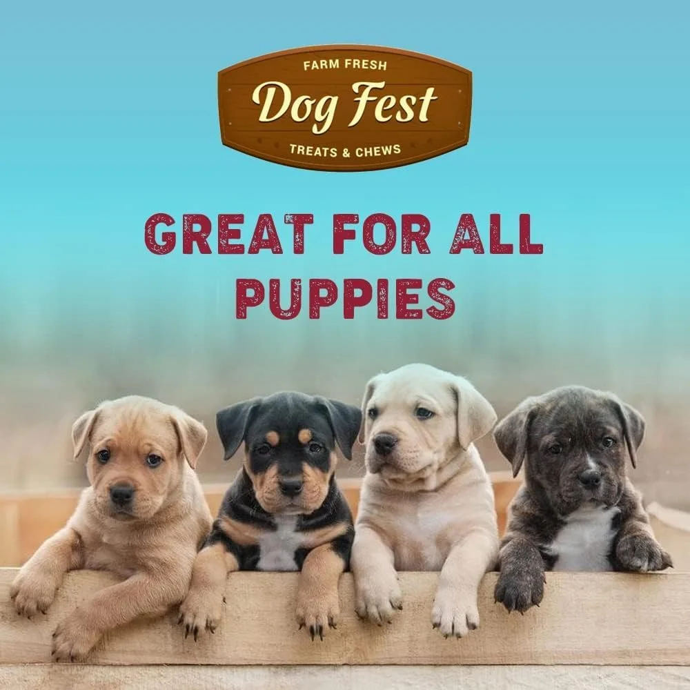 گوش خرگوش با مرغ داگ فست برای توله سگ ها - 90 گرم