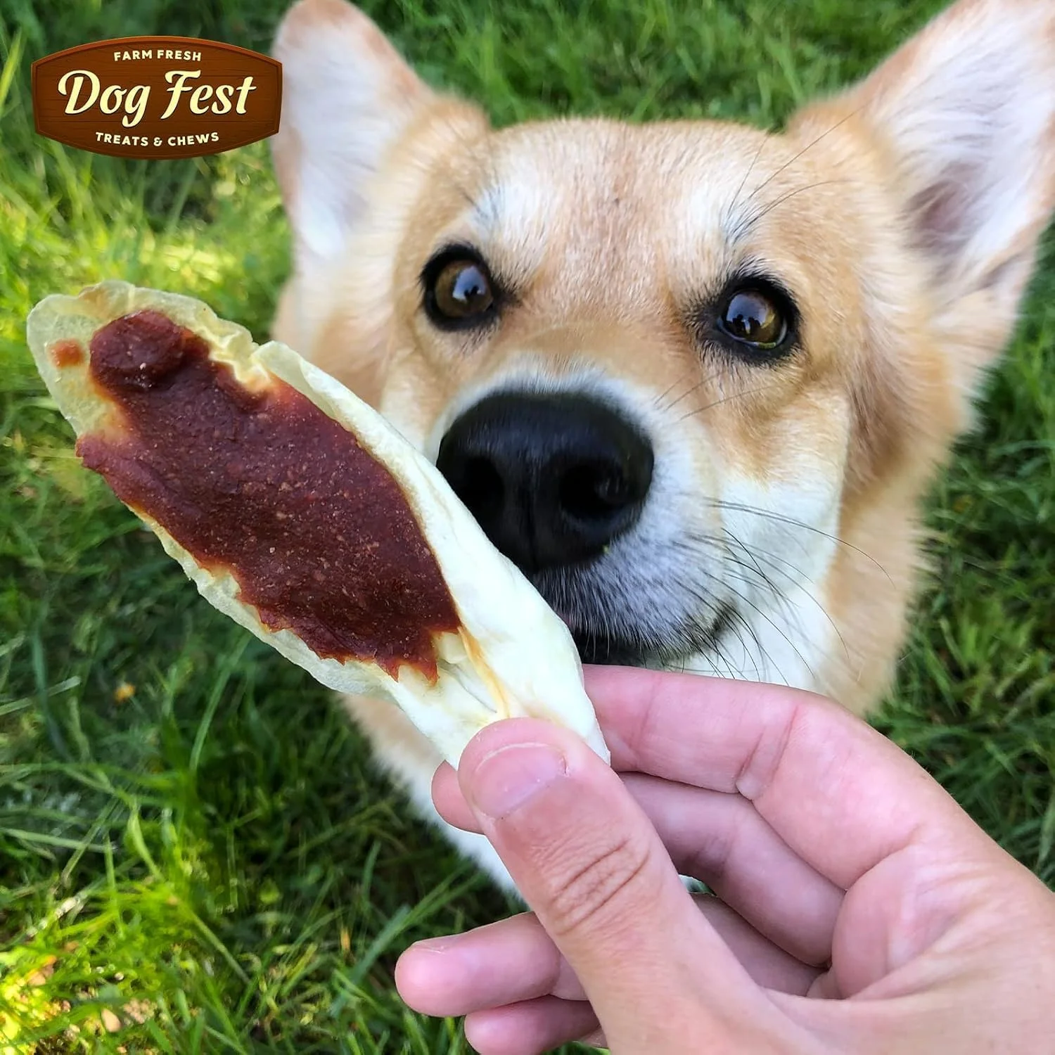 گوش خرگوش Dog Fest با گوشت اردک برای سگ های بالغ، تشویقی سگ - 90 گرم