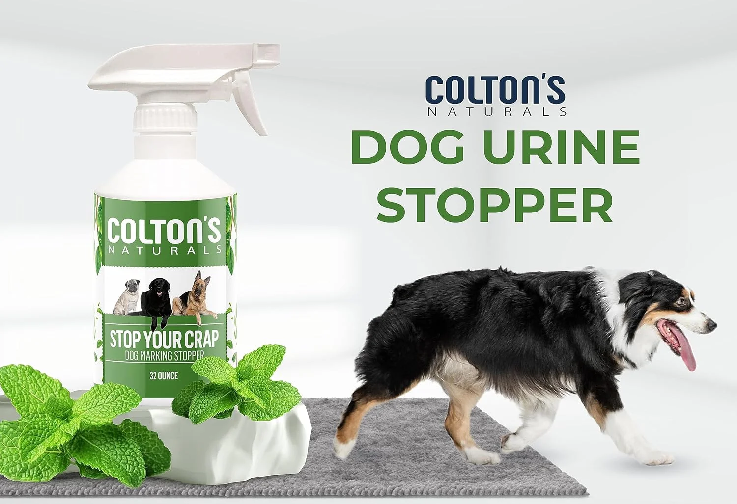 اسپری آموزش ادرار نکردن حیوانات خانگی کلتون نچرالز (946 میلی لیتر) - اسپری آموزش ادرار و مدفوع سگ - اصلاح کننده آموزشی - داخل و خارج از خانه - کمک به توله سگ ها و سگ ها - اسپری ایمن در اطراف کودکان