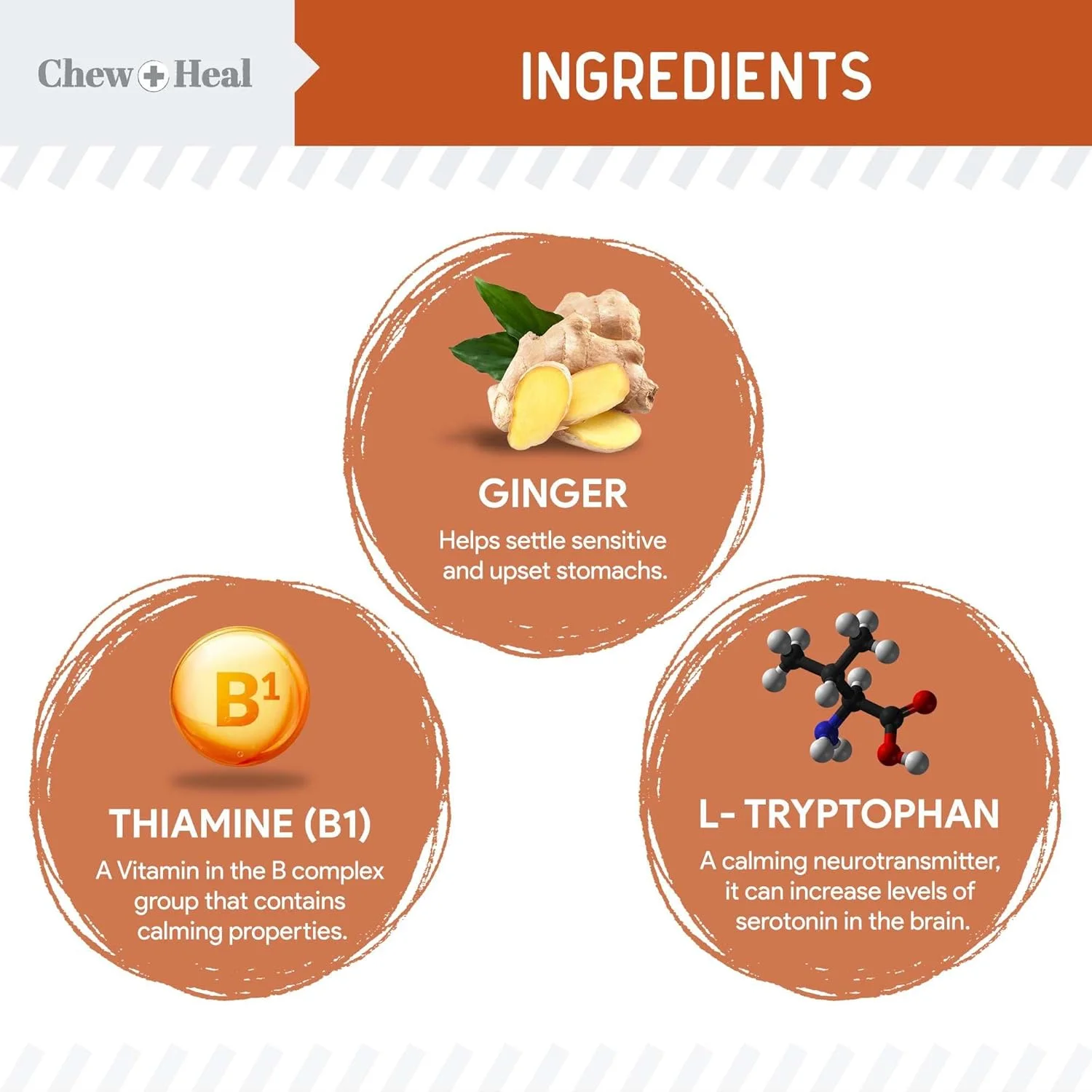 تشویقی آرام‌بخش سگ - 30 عدد تشویقی ضد اضطراب برای آتش‌بازی، رعد و برق و طوفان - تشویقی آرام‌بخش طبیعی سگ برای نژادهای بزرگ و کوچک حاوی تیامین، ال-تریپتوفان، زنجبیل و ملاتونین