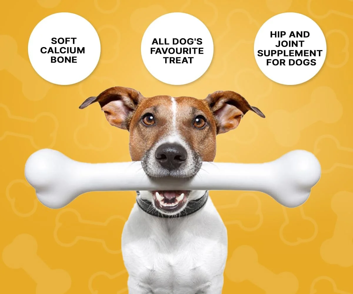 استخوان شیر کلسیم Boltz برای سگ ها و توله سگ ها (25 در 1) مکمل سگ، استخوان های شیر کلسیم 3 اینچی برای سگ ها، خوراکی سالم برای سگ ها در تمام مراحل زندگی (بسته 1 عددی، 250 گرمی)