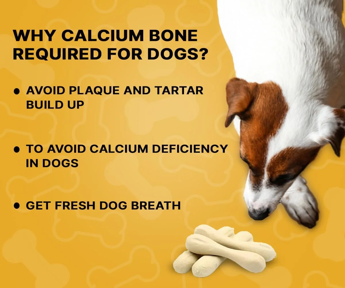 استخوان شیر کلسیم Boltz برای سگ ها و توله سگ ها (25 در 1) مکمل سگ، استخوان های شیر کلسیم 3 اینچی برای سگ ها، خوراکی سالم برای سگ ها در تمام مراحل زندگی (بسته 1 عددی، 250 گرمی)