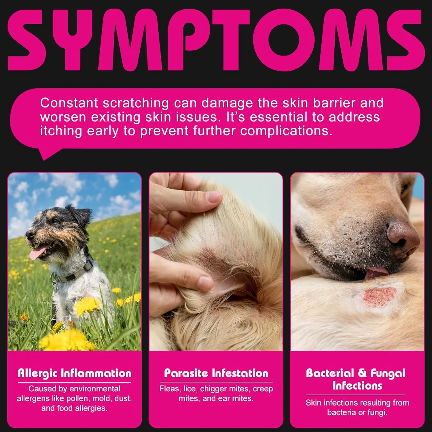 تشویقی های بدون خارش و تقویت کننده ایمنی سگ Bailey & buddies، تشویقی های حمایت از هضم و ایمنی برای سگ ها - 120 عدد تشویقی طبیعی برای رفع مشکل کشیدن باسن روی زمین، خوردن چمن، خارش گوش و تسکین معده حساس