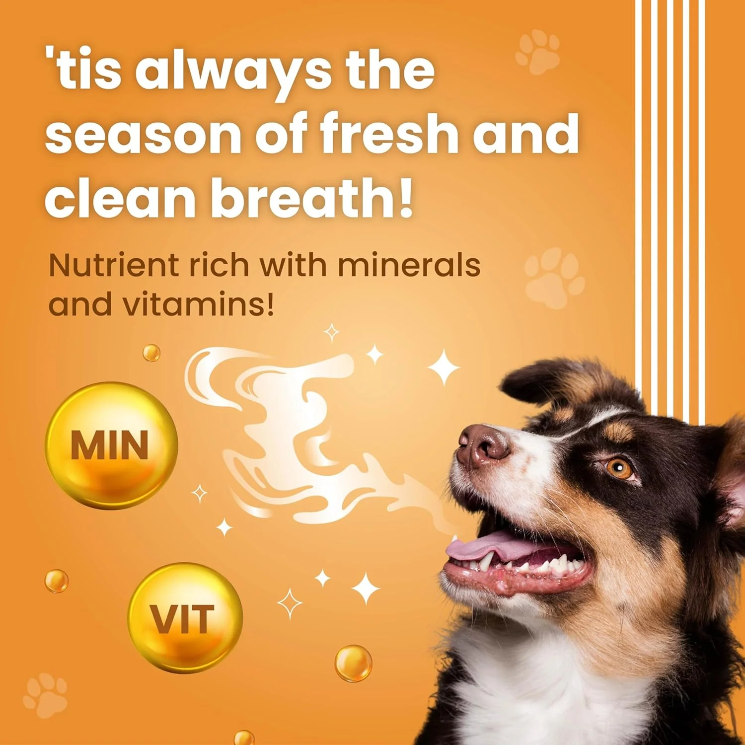 تشویقی سگ ویوالدیز - استیک دندانی، بدون شکر | کنترل پلاک، جرم و بوی بد دهان | برای سگ ها 110 گرم