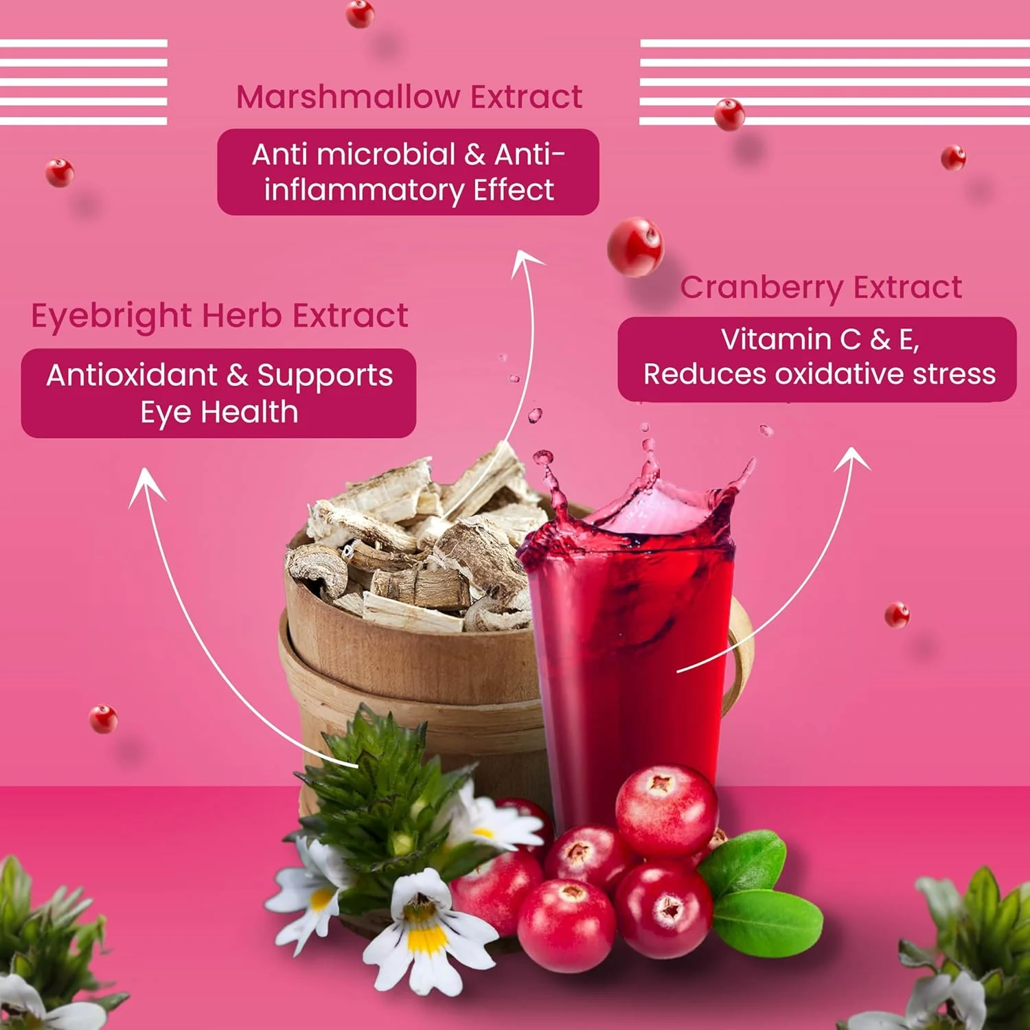 تشویقی سگ برای رفع لکه اشک Bark Out Loud by Vivaldis - حاوی عصاره گل همیشه بهار و غنی از امگا، 100 گرم