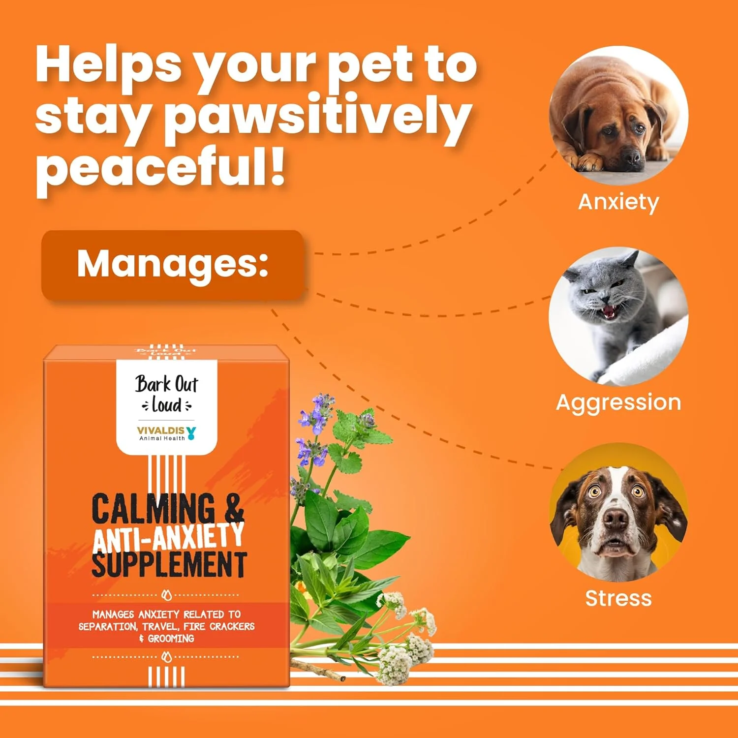 مکمل آرام‌بخش و ضد اضطراب Bark Out Loud by Vivaldis | راه حل طبیعی برای کاهش استرس، پرخاشگری و اضطراب در سگ ها - بسته 5 عددی