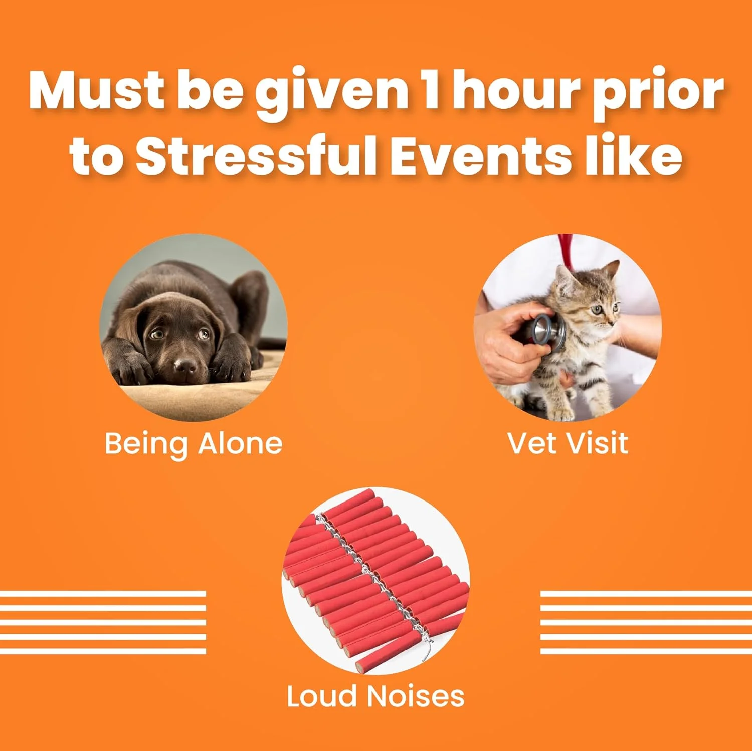 مکمل آرام‌بخش و ضد اضطراب Bark Out Loud by Vivaldis | راه حل طبیعی برای کاهش استرس، پرخاشگری و اضطراب در سگ ها - بسته 5 عددی