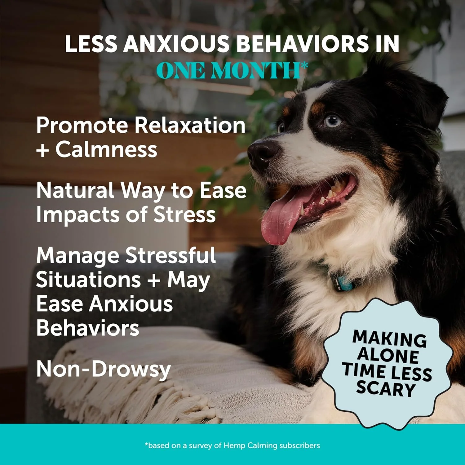 تشویقی آرام بخش سگ پت آنستی با کنف - اسنک های تسکین دهنده کاملا طبیعی با کنف + ریشه سنبل الطیب، کاهش استرس و اضطراب سگ - کمک به رعد و برق، آتش بازی، جویدن و پارس کردن