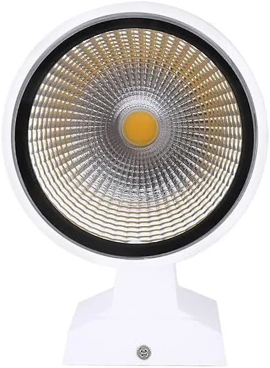 چراغ دیواری ضد آب فضای باز مدل CAYMAN newlight، چراغ دیواری مدرن، چراغ رو به پایین LED یکپارچه، سفید (6500K) / سفید گرم (3000K) (خاکستری) Mb 3002c 02 (نور گرم، 2 * 15W)