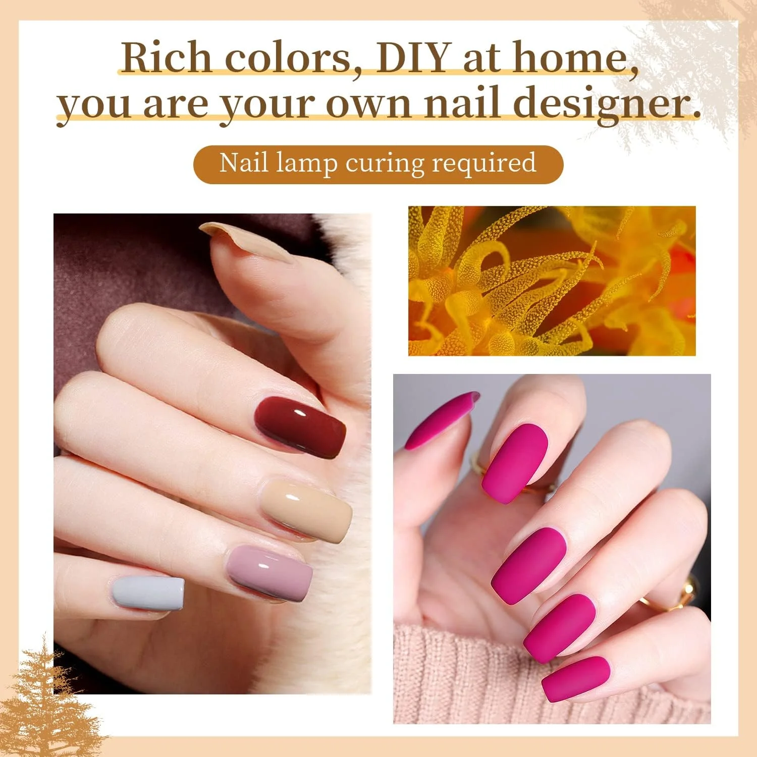 کیت لاک ژل جادسون 60 عددی با 5 بطری لاک پایه و روکش براق و مات، ست لاک ژل مناسب برای تمام فصول، هدیه لاک ژل کیت لاک ژل جادسون 60 عددی با 5 بطری لاک پایه و روکش براق و مات، ست لاک ژل مناسب برای تمام فصول، هدیه لاک ژل