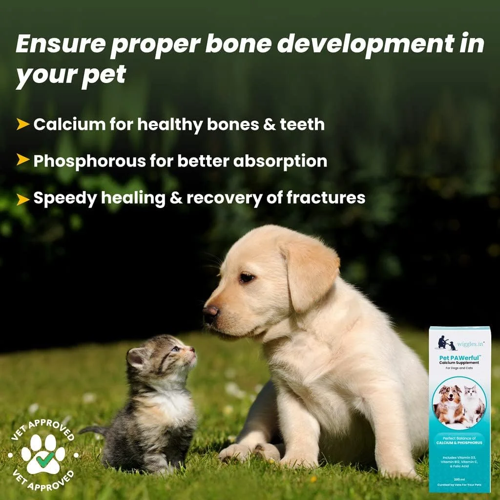 شربت مکمل کلسیم و فسفر ویگلز پت PAWerful برای سگ و گربه، 200 میلی لیتر - مولتی ویتامین ضروری، مکمل مراقبت از استخوان، هضم و پوست و مو برای حیوانات خانگی
