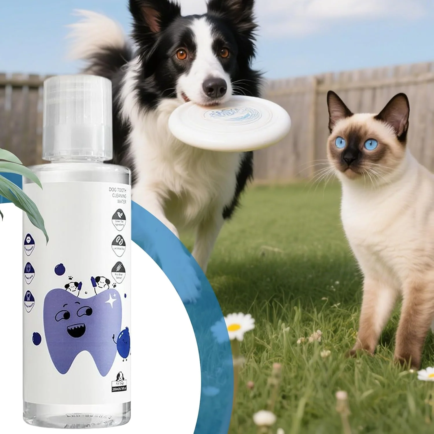 محلول افزودنی آب سگ، 200 میلی لیتر، طبیعی، مایع تمیز کننده دندان سگ - برای مسافرت های داخلی و خارجی، نظافت و بهداشت توله سگ، حمام و شستشو