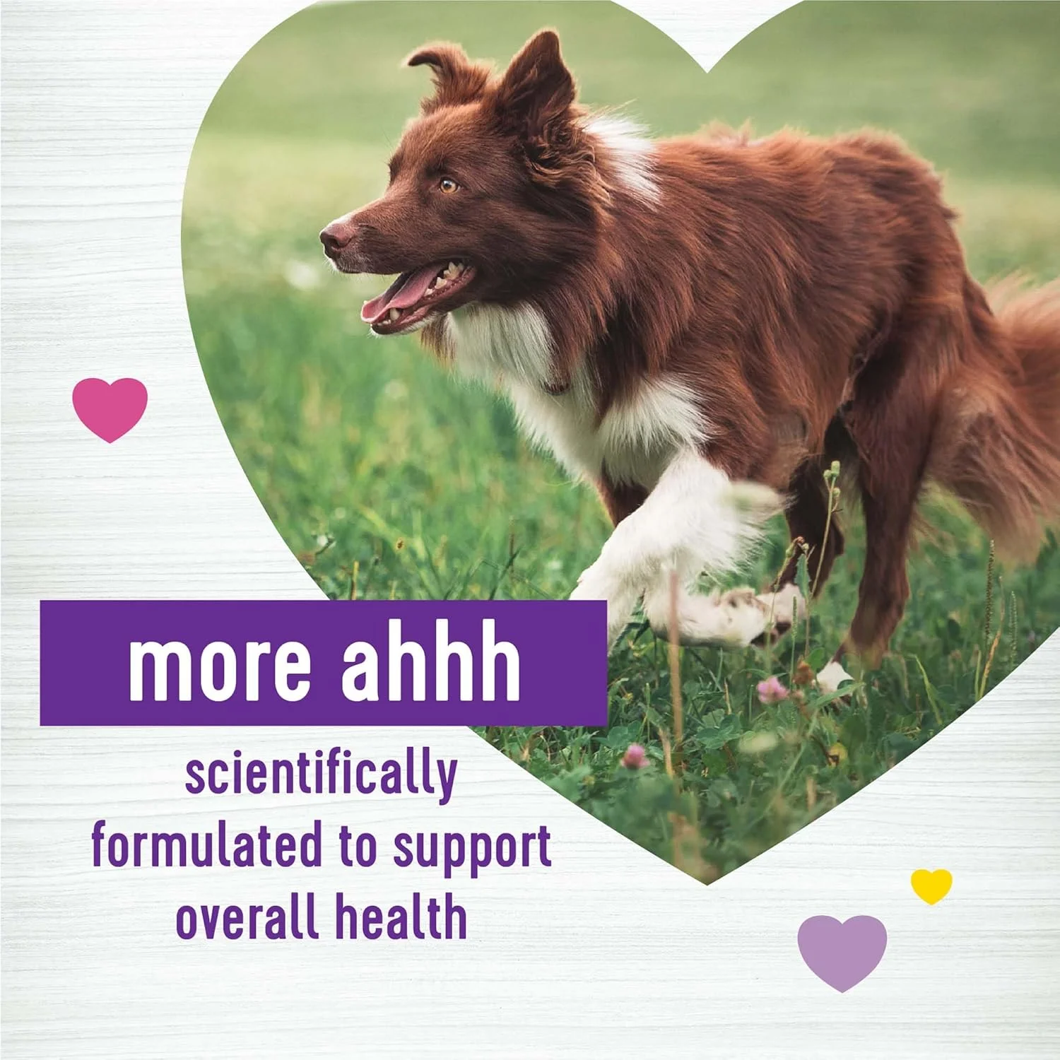 تشویقی نرم با طعم کره بادام زمینی و سیب Wellness، مکمل چند منظوره برای سگ ها، 45 عدد