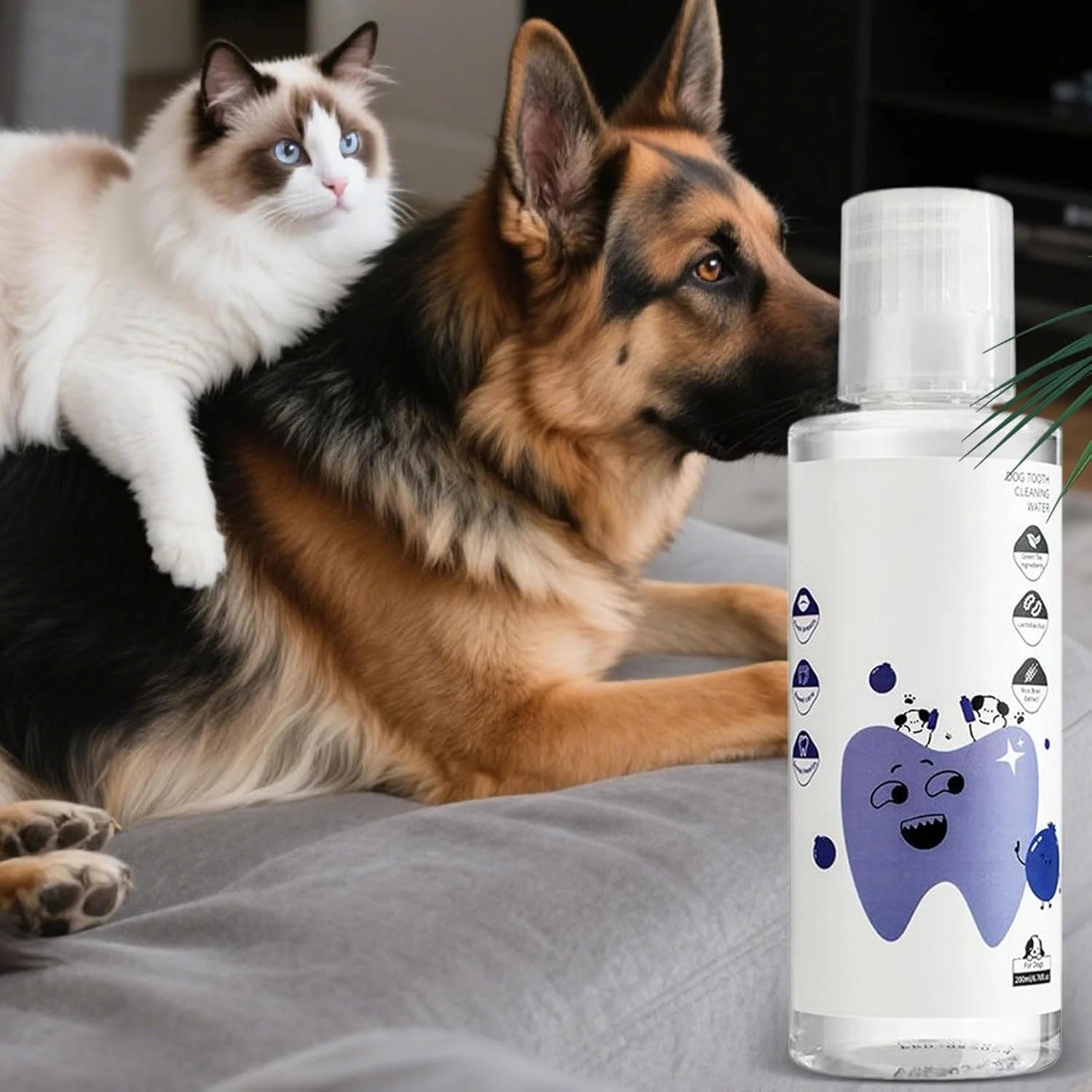 محلول افزودنی آب سگ، 200 میلی لیتر، طبیعی، مایع تمیز کننده دندان سگ - برای مسافرت های داخلی و خارجی، نظافت و بهداشت توله سگ، حمام و شستشو