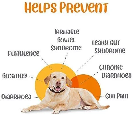 ویوالدیس اینترو سکیور - BD | مکمل طبیعی پروبیوتیک برای گربه و سگ حاوی عصاره های چریش و آنزیم پاپایا برای هضم و سلامت معده | برای سگ ها و گربه ها - 10 قرص