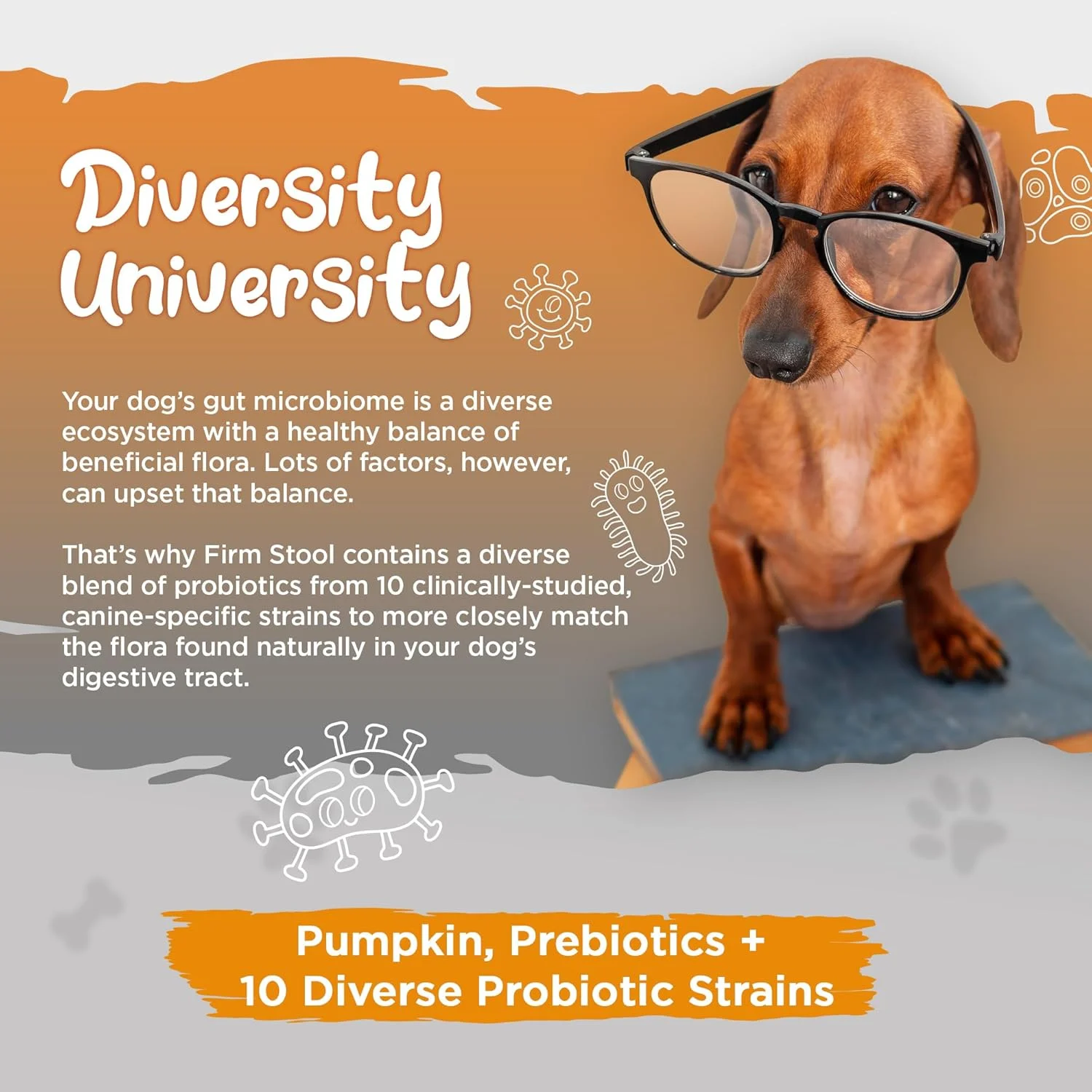 ویتال پلنت - پودر سفت کننده مدفوع سگ با طعم کدو تنبل 111 گرم