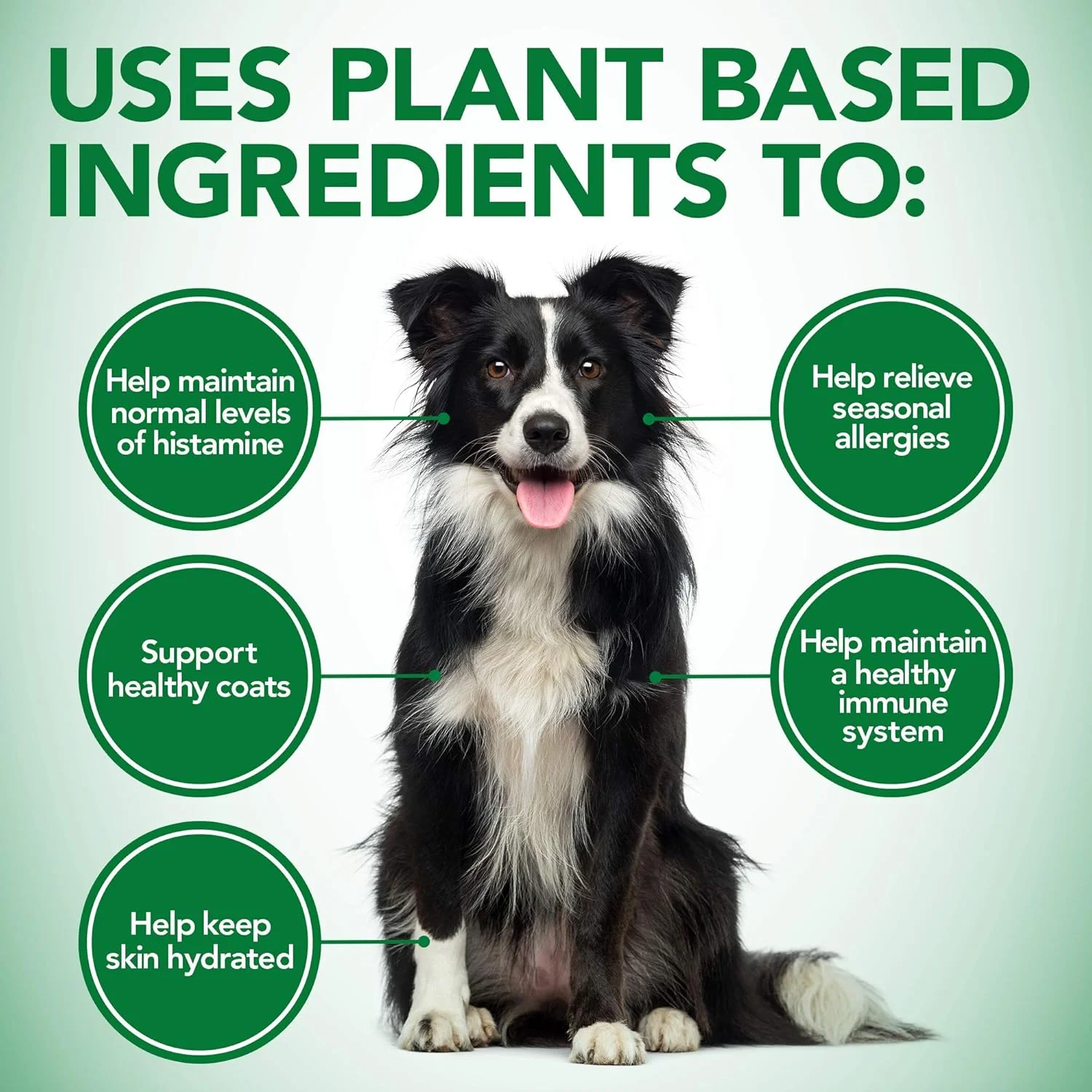مکمل های سگ برای کاهش ریزش مو و خارش پوست وتز بست | تسکین تحریکات پوستی و ریزش موی سگ ها ناشی از آلرژی های فصلی یا درماتیت | 150 قرص جویدنی، سفید، 150 عدد (بسته 1 عددی)