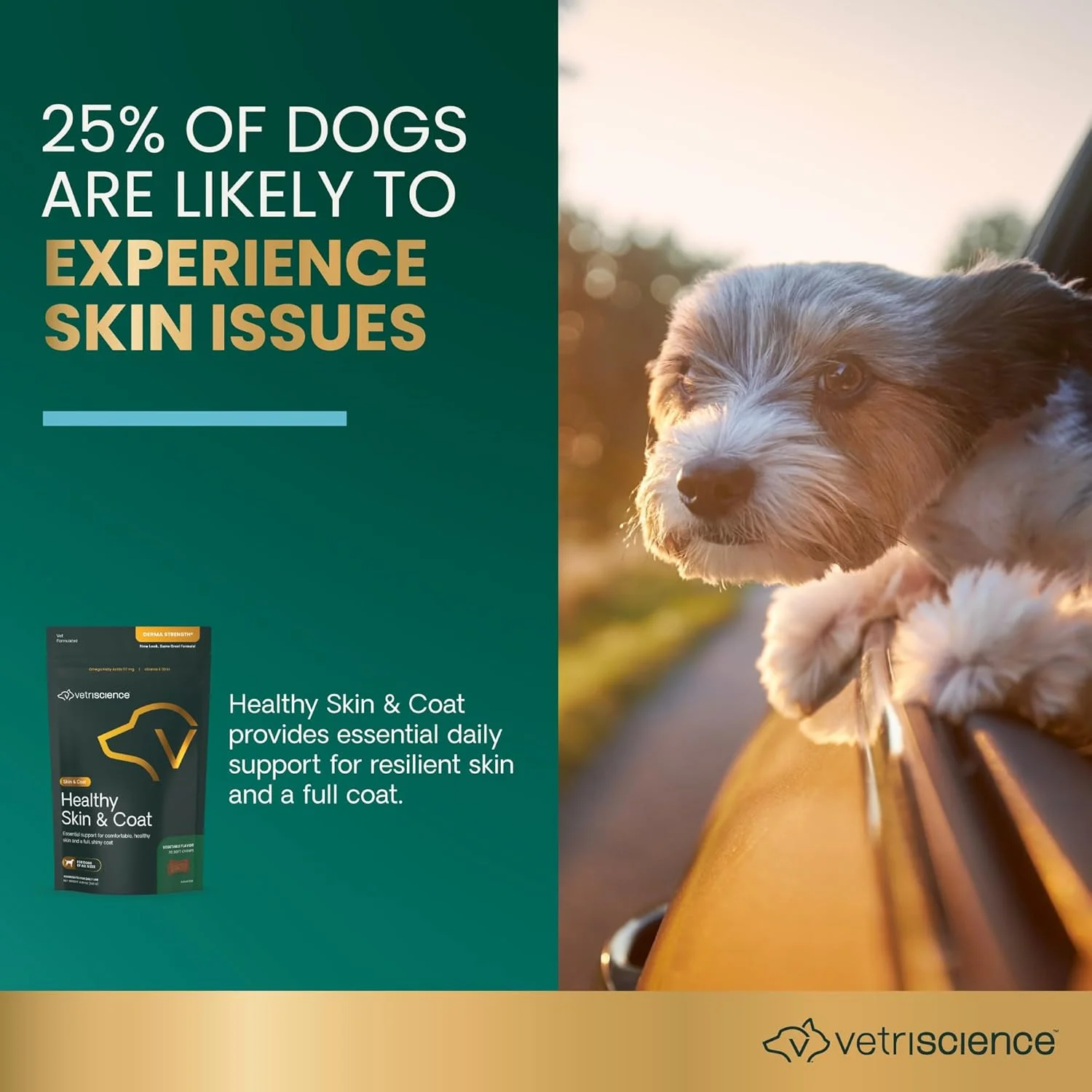 قرص های جویدنی تقویت پوست و موی سگ VetriScience Derma Strength حاوی امگا 3، 6 و 9، 70 عدد - می تواند ریزش مو را کاهش داده و از سلامت پوست حمایت کند