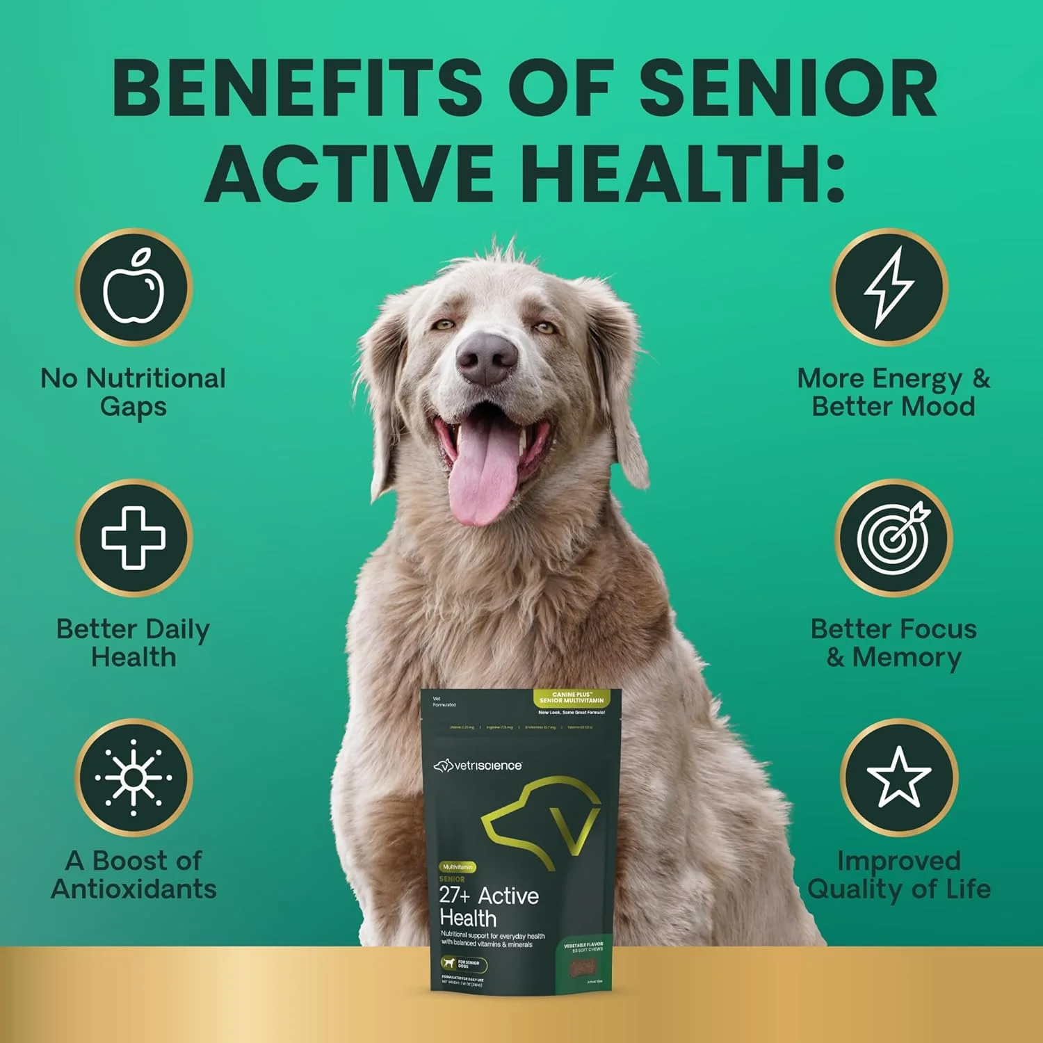 قرص های جویدنی بهداشتی فعال VetriScience Senior 27+، مولتی ویتامین روزانه Canine Plus برای سگ های مسن، ویتامین ها، مواد معدنی و آنتی اکسیدان ها، پشتیبانی از سلامت و تندرستی، گیاهی، 60 عدد