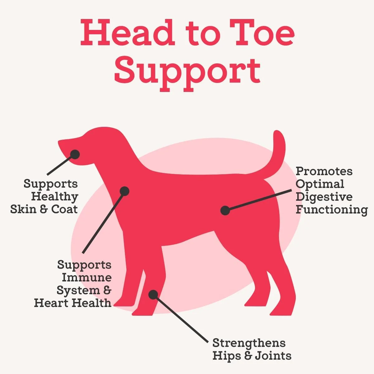 مکمل مولتی ویتامین کامل سگ VetPro دکتر جوزف، 120 عدد، جویدنی 5 در 1 با ویتامین ها، آنزیم ها و مواد مغذی، گلوکزامین برای سلامت مفاصل و لگن، پشتیبانی از سیستم ایمنی و آلرژی