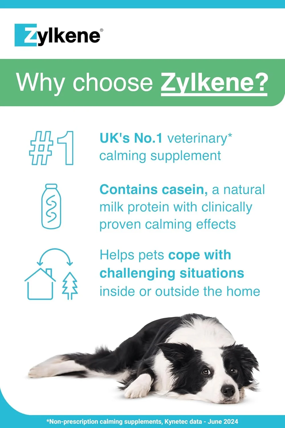 مکمل زيلکن وتوکوينول برای سگ های متوسط، 20 کپسول - 225 میلی گرم