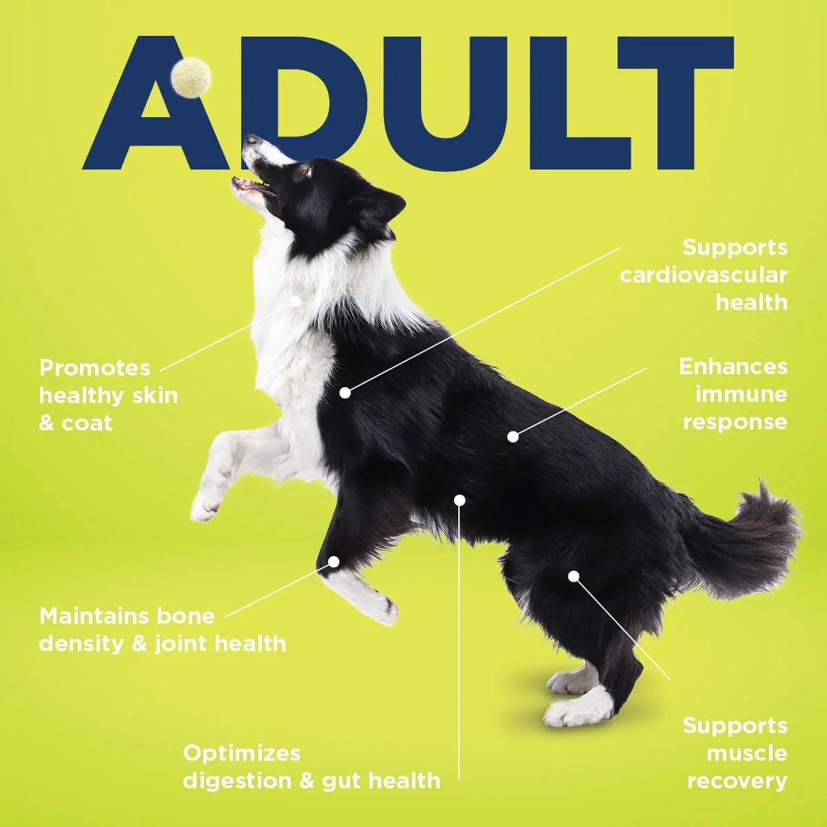 مکمل غذایی کامل سگ بالغ Vetericyn، 90 قرص