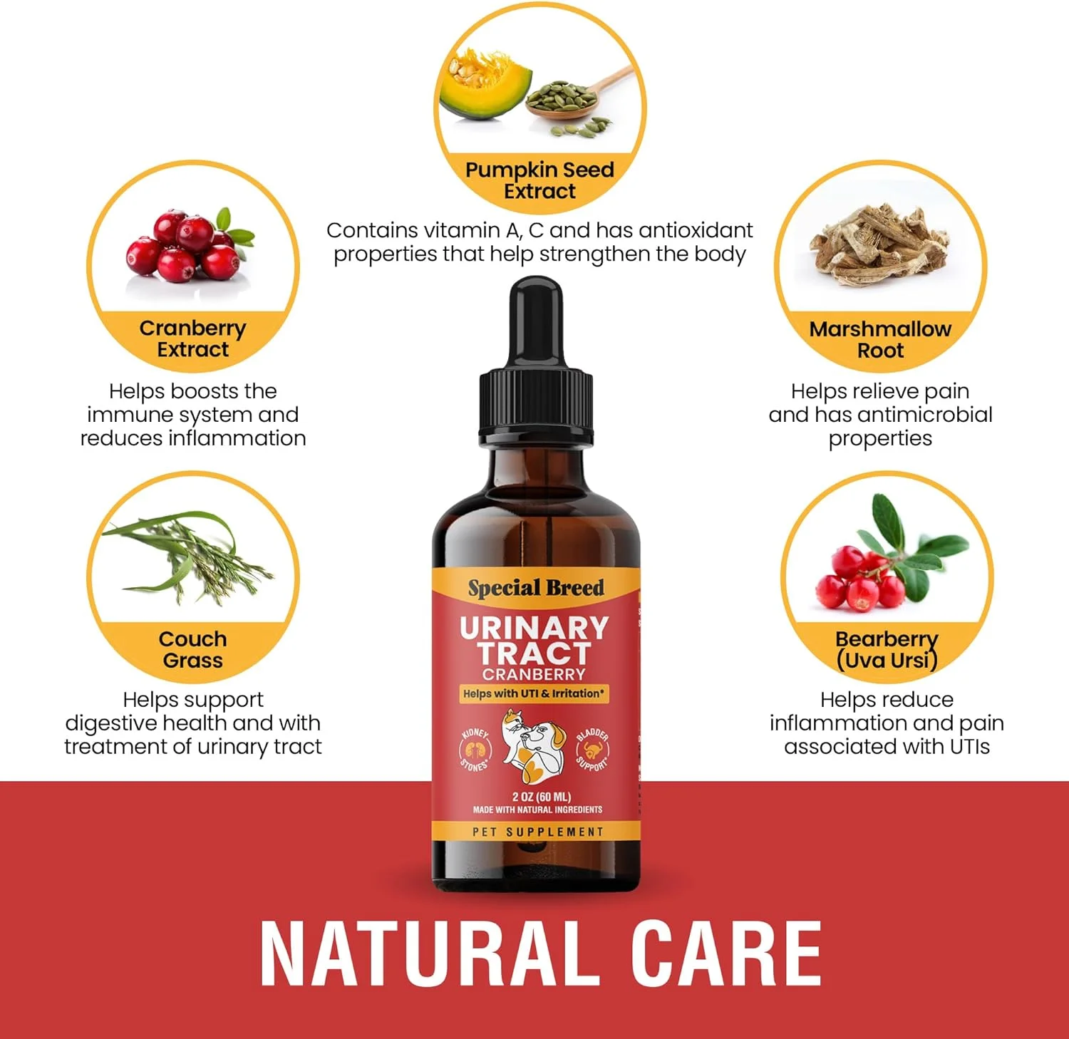 درمان عفونت ادراری برای گربه ها و سگ ها - مکمل کرن بری برای عفونت ادراری، پشتیبانی از کلیه و مثانه، 2 اونس