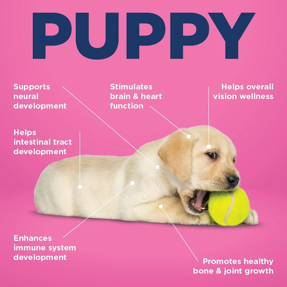 مکمل کامل توله سگ Vetericyn All In، ۹۰ قرص مکمل کامل توله سگ Vetericyn All In، ۹۰ قرص