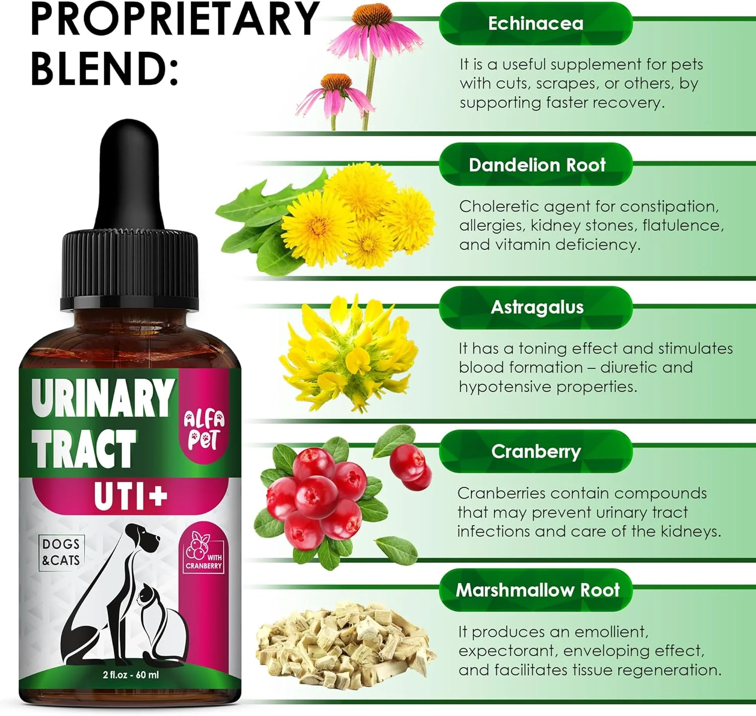 مکمل ادراری گربه • درمان عفونت ادراری سگ • درمان عفونت ادراری گربه • پشتیبانی از دستگاه ادراری برای سگ ها • مراقبت از مثانه و کلیه • ترکیب گیاهی • 2 اونس