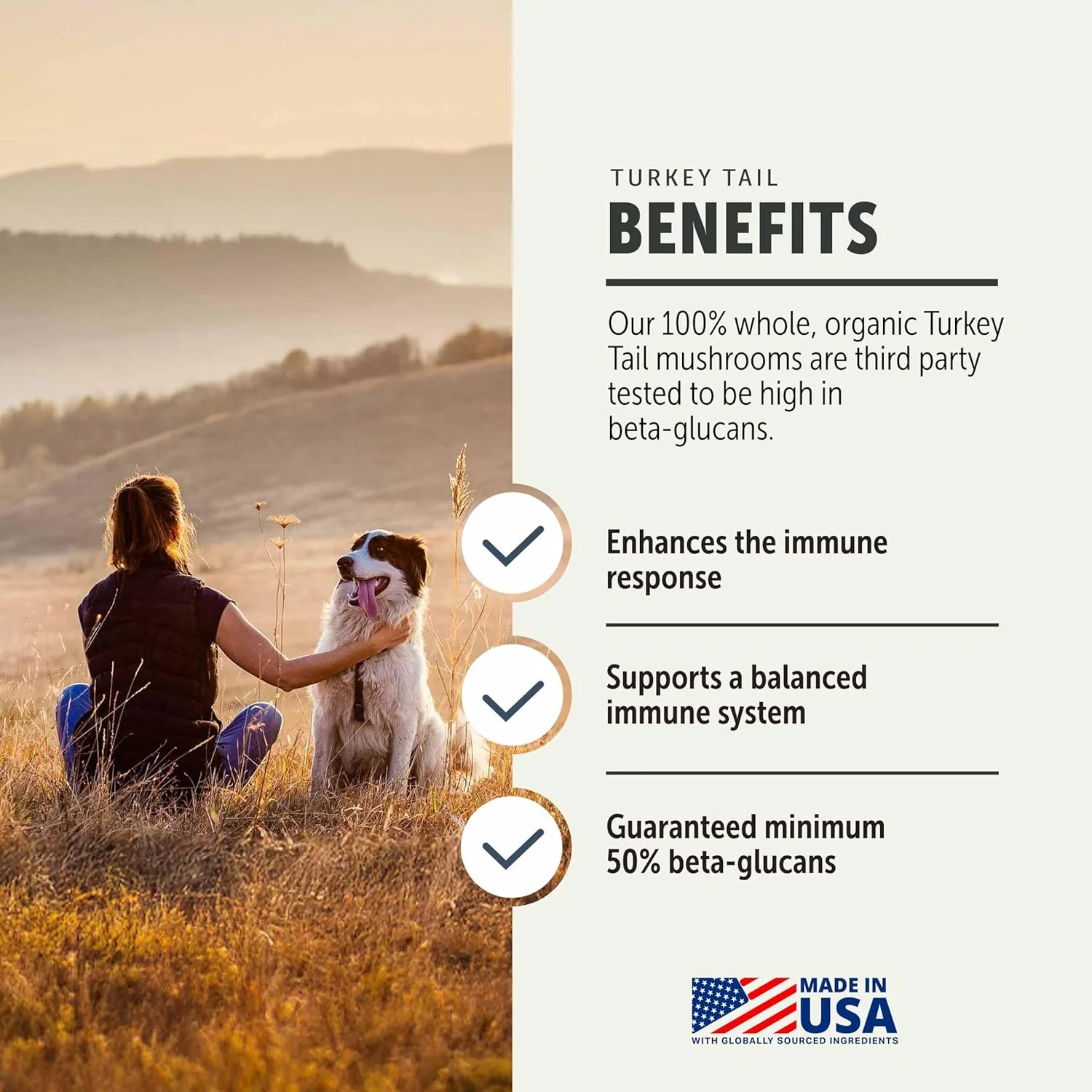 قارچ دم بوقلمون برای سگ ها - عصاره کامل و ارگانیک قارچ - بیش از 50٪ بتا گلوکان - تست شده توسط شخص ثالث، ساخت ایالات متحده آمریکا - بدون غلات و بدون مواد افزودنی - تامین 60 روزه برای سگ های بزرگ قارچ دم بوقلمون برای سگ ها - عصاره کامل و ارگانیک قارچ - بیش از 50٪ بتا گلوکان - تست شده توسط شخص ثالث، ساخت ایالات متحده آمریکا - بدون غلات و بدون مواد افزودنی - تامین 60 روزه برای سگ های بزرگ