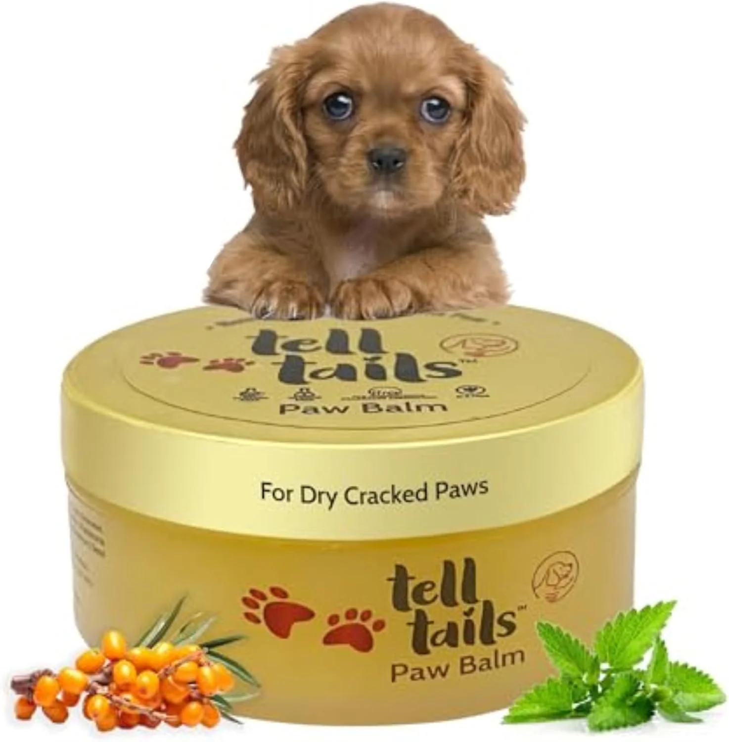 بالم پنجه برای سگ و گربه 50 گرم | آبرسانی و نرم کننده پنجه ها | ترمیم کننده پنجه های ترک خورده و زبر | غنی شده با ویتامین E، موم کندلیلا، روغن سنجد دریایی و روغن نعناع | احیا کننده رطوبت