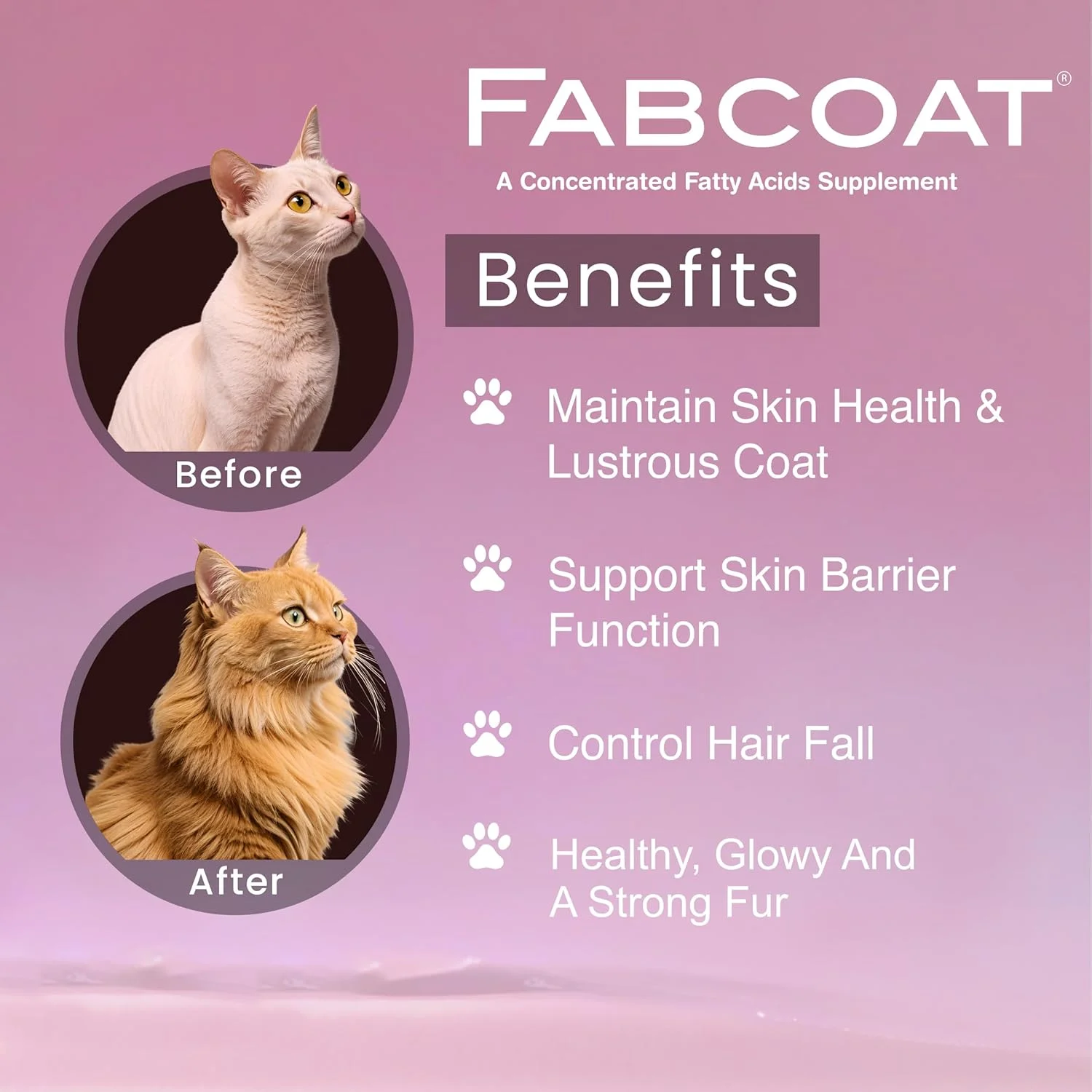 تونیک مکمل اسید چرب FABCOAT Tail & Collar Club برای پوست و مو غنی شده با امگا 6، 3 و 9 به همراه روغن کبد برای سگ ها و گربه ها، مراقبت از پوست سالم و موهای قوی (400 میلی لیتر)