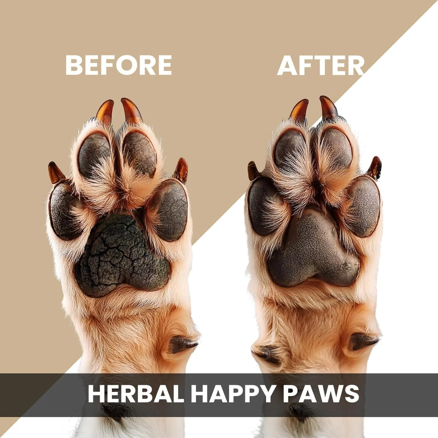 بالم پنجه برای سگ و گربه 50 گرم | آبرسانی و نرم کننده پنجه ها | ترمیم کننده پنجه های ترک خورده و زبر | غنی شده با ویتامین E، موم کندلیلا، روغن سنجد دریایی و روغن نعناع | احیا کننده رطوبت