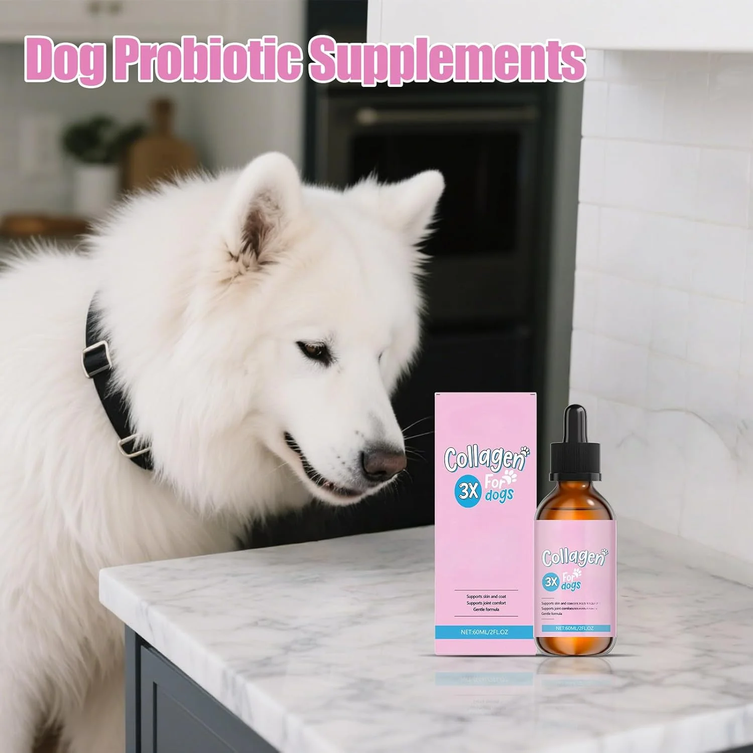 مکمل سگ، 60 میلی لیتر پشتیبانی مایع | مراقبت از استخوان، پوشش و پوست برای سگ های مسن، دوره عصر، مصرف صبحگاهی، روال روزانه، مسافرت خانگی، بعد از غذا