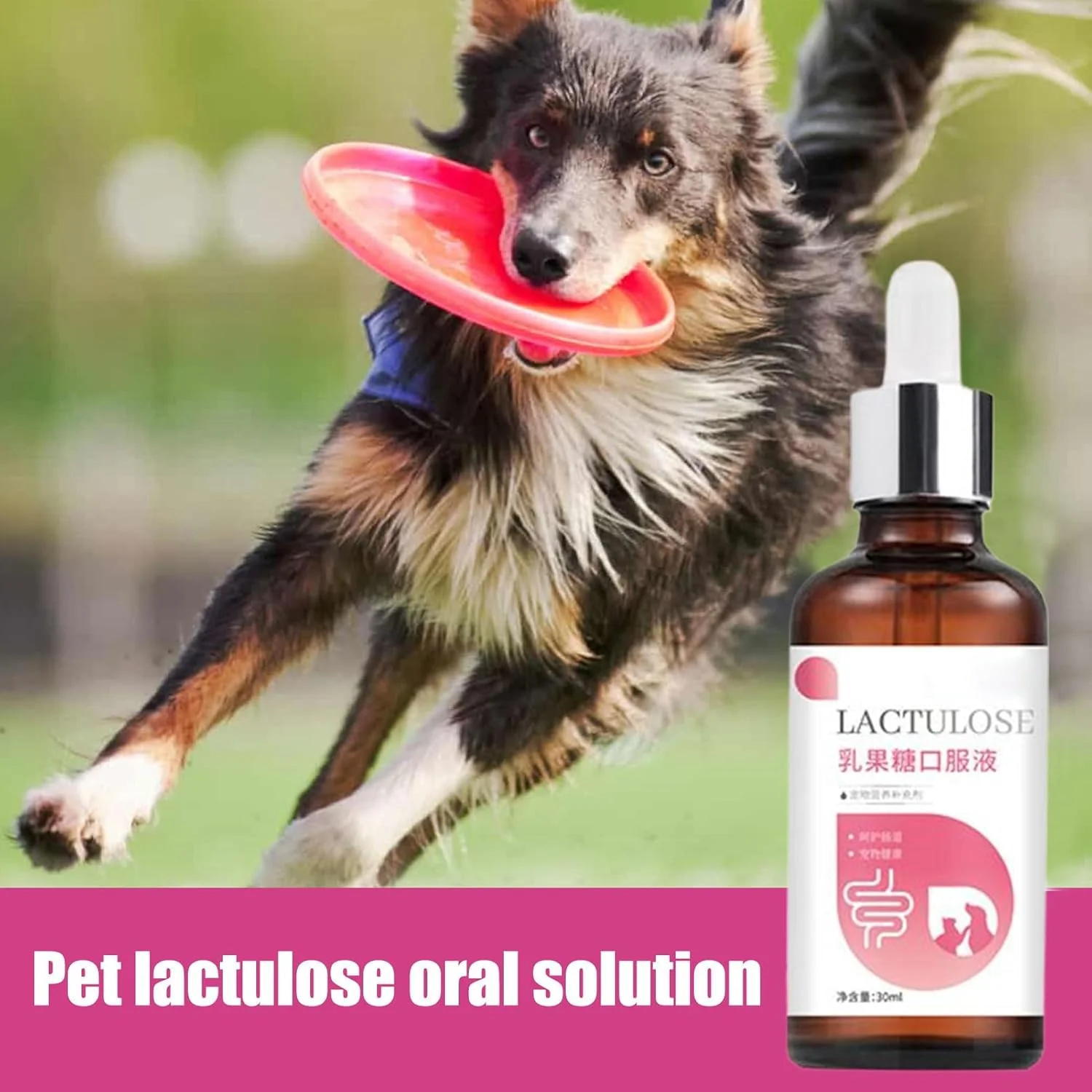 مکمل های سگ | مکمل های بهداشتی برای گربه 30 میلی لیتر، قطره های گوارش ایمن و ملایم، جذب غیر تحریک کننده، مراقبت روزانه برای بچه گربه، توله سگ، مسافرت، خانه