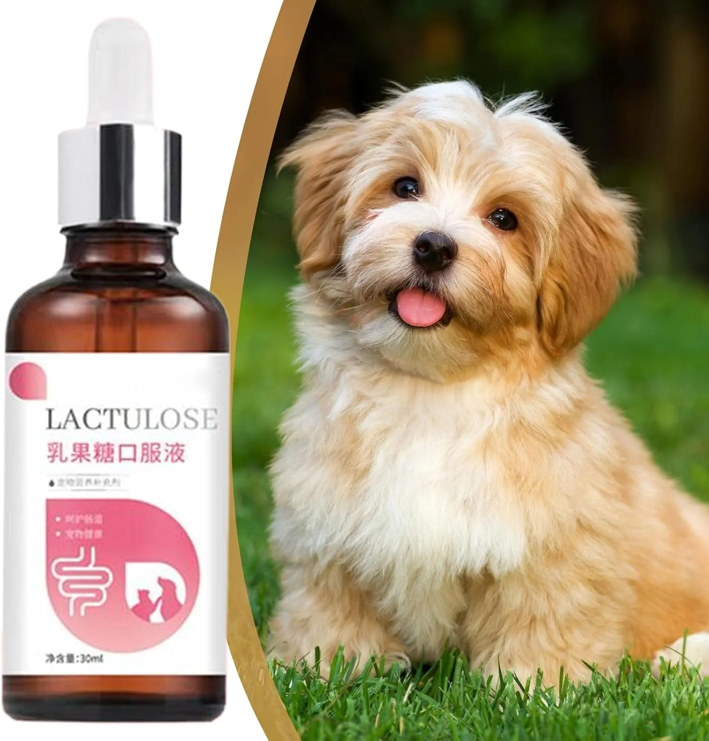 مکمل های سگ | مکمل های بهداشتی برای گربه 30 میلی لیتر، قطره های گوارش ایمن و ملایم، جذب غیر تحریک کننده، مراقبت روزانه برای بچه گربه، توله سگ، مسافرت، خانه