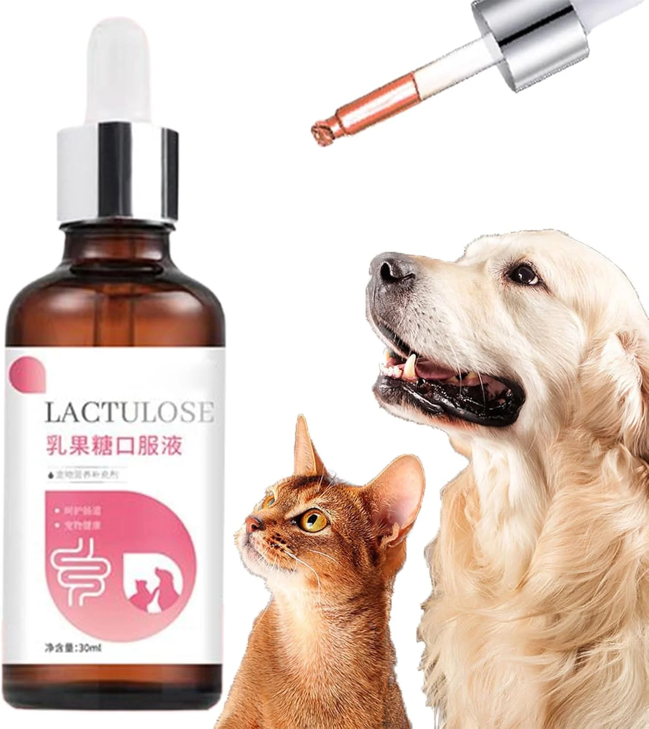 مکمل های غذایی سگ - مکمل غذایی 30 میلی لیتر - قطره های روغن ملایم برای سلامتی، مراقبت از هضم و جذب ایمن برای توله سگ و گربه، مراقبت روزانه در سفر