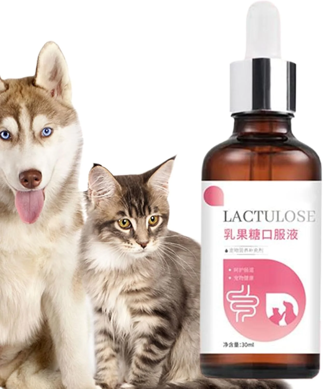 مکمل های سگ - مکمل مایع سگ 30 میلی لیتر - قطره های گوارش ایمن، ملایم، غیر تحریک کننده، جذب، مراقبت روزانه برای بچه گربه، توله سگ، مسافرت، خانه