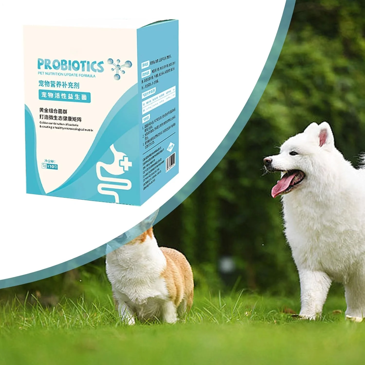 پودر تقویت سیستم ایمنی حیوانات خانگی | مکمل حمایت از سلامت روده، لوازم مغذی گربه، لوازم حیوانات خانگی برای تسکین مشکلات گوارشی توله سگ و سگ مسن