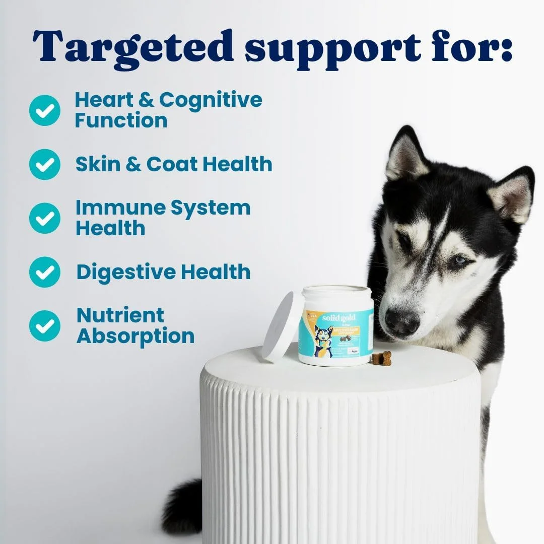 مولتی ویتامین سگ گلد سالید - مکمل جویدنی ویتامین سگ PetVites - ویتامین C، A، B12 و E به همراه پروبیوتیک ها و آنتی اکسیدان ها برای ارتقاء سلامت سیستم ایمنی و انرژی