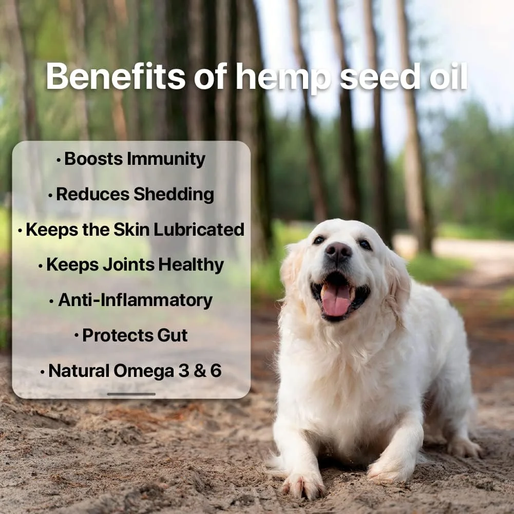 روغن دانه شاهدانه مخصوص سگ و گربه ۱۰۰ میلی لیتر | آرامش بخش حیوانات خانگی | مبارزه با اضطراب | پشتیبانی از مفاصل حیوانات خانگی | بهبود پوست | 100% آیورودا و طبیعی | روغن ماساژ مراقبت از حیوانات خانگی | بدون عوارض جانبی