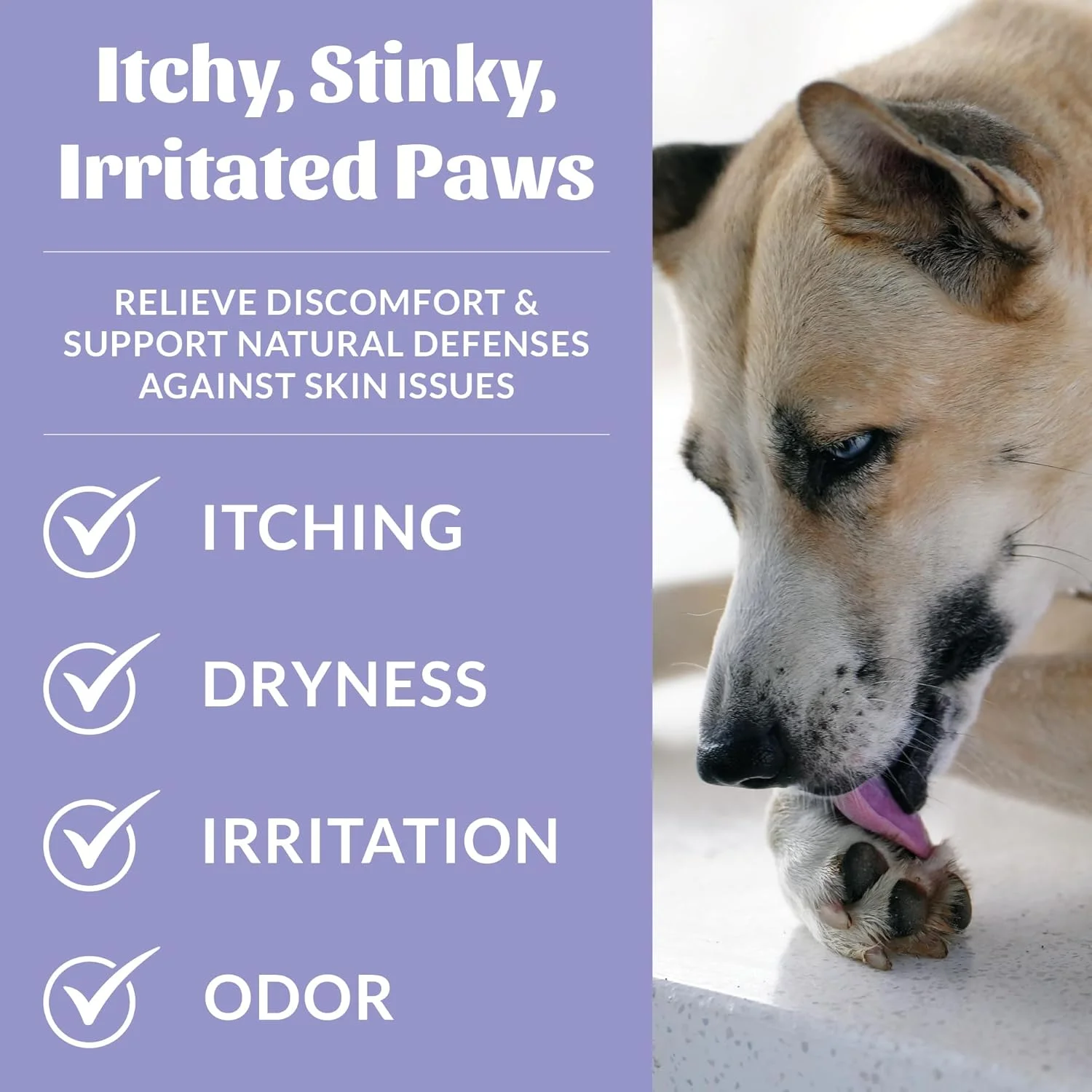 اسپری پروبیوتیک پنجه سگ SKOUT'S HONOR Wellness، ۲۳۶ میلی لیتر