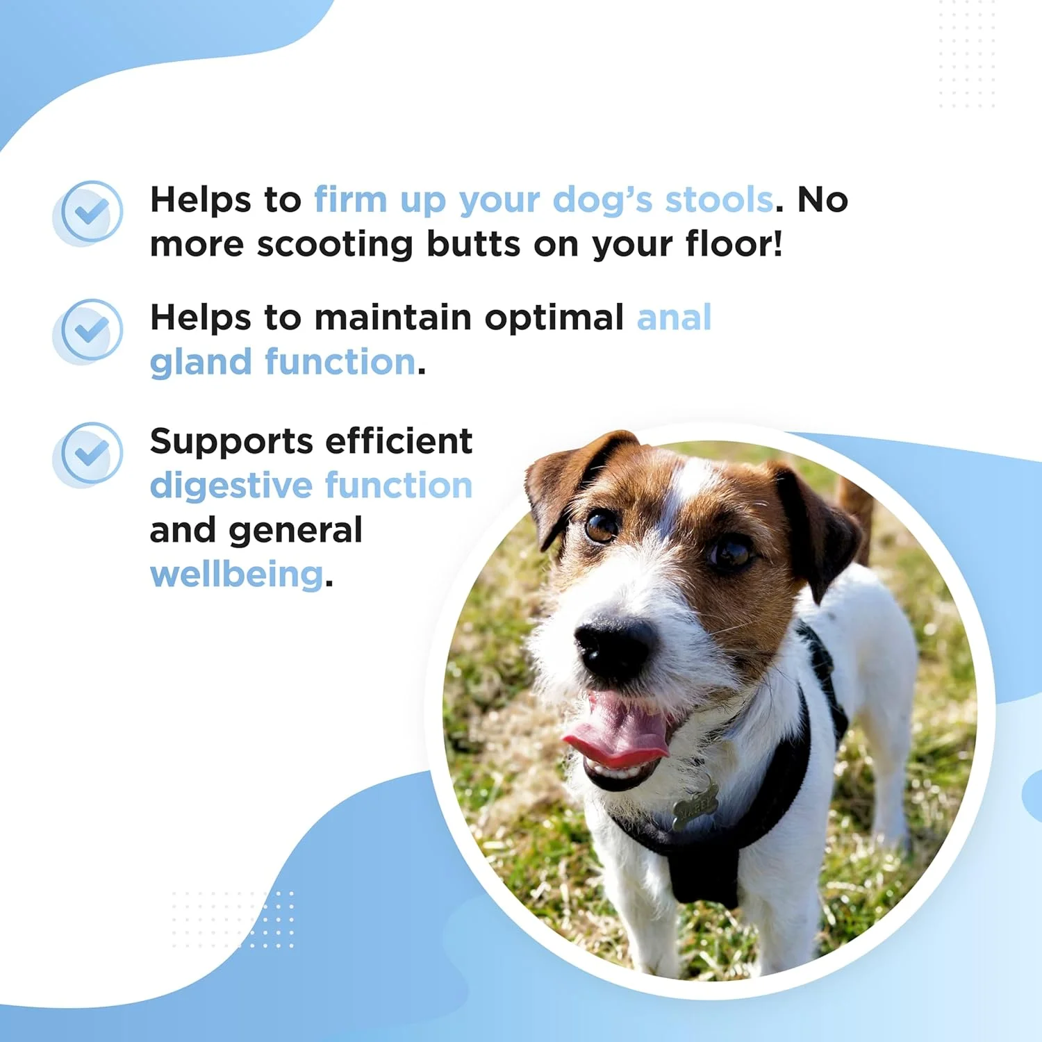 تشویقی های نرم کننده گوارش سگ SCOOTER - مکمل ممتاز بدون گندم برای غدد سالم با کدو تنبل اضافه شده؛ کمک به حمایت از عملکرد طبیعی روده و از بین بردن کشیدن باسن؛ مواد طبیعی