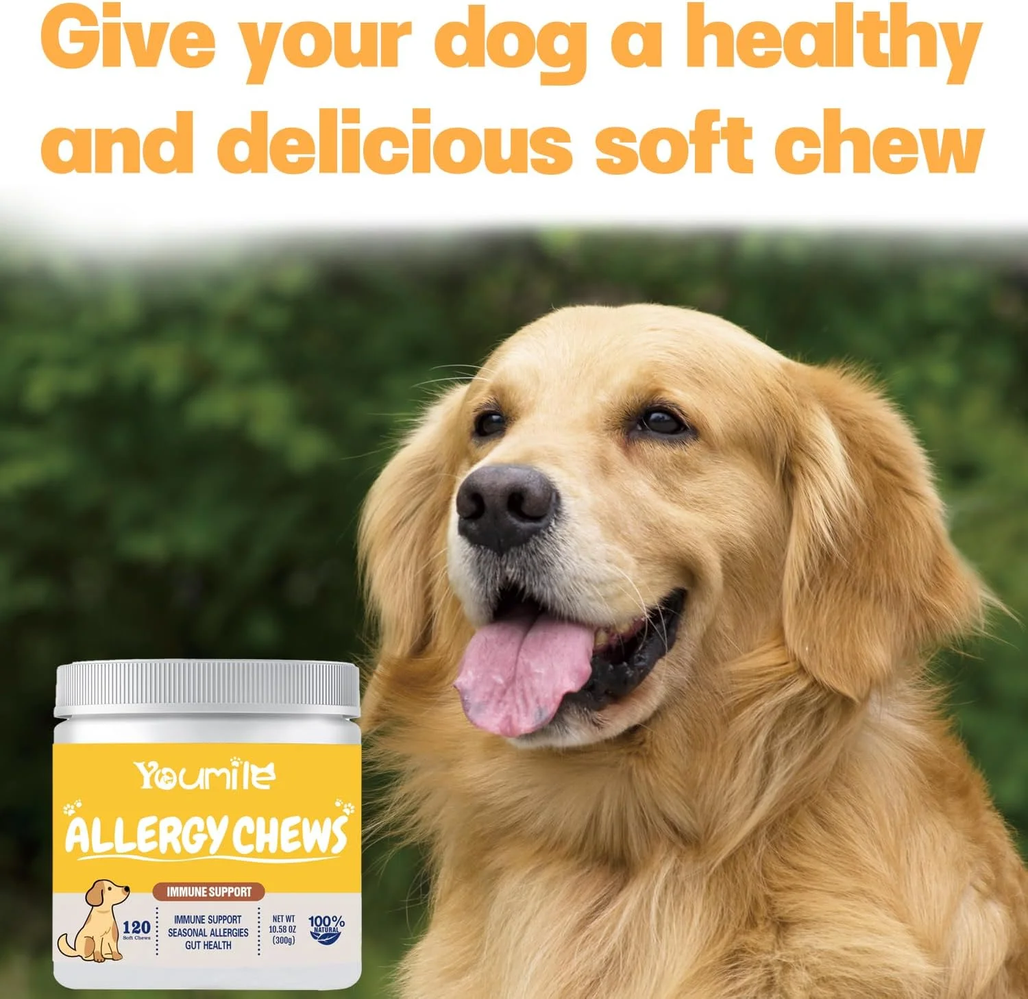 پروبیوتیک های آلرژی و تقویت کننده ایمنی برای سگ ها، پشتیبانی از آلرژی های فصلی، سلامت روده و دستگاه گوارش، مکمل جویدنی آلرژی سگ