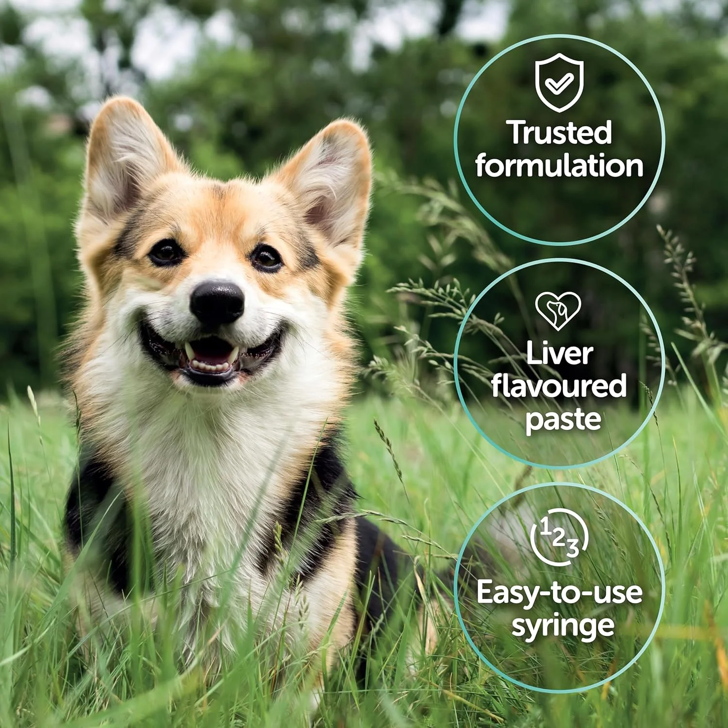 پروتکسین وتری Pro-Kolin Advanced برای سگ ها Pro-Kolin Advanced برای سگ ها 30 میلی لیتر