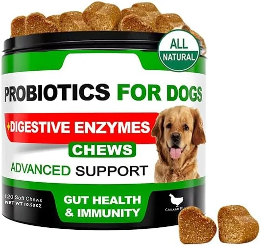 مکمل های پروبیوتیک برای حیوانات خانگی، تقویت کننده ایمنی روده در سگ ها