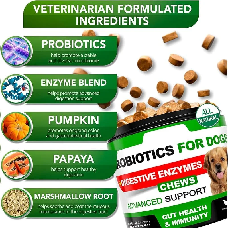 مکمل های پروبیوتیک برای حیوانات خانگی، تقویت کننده ایمنی روده در سگ ها